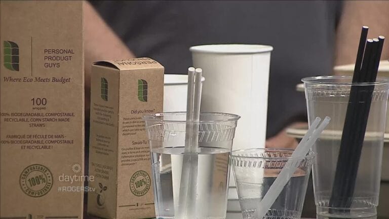 Sustainable Sips: The Rise of Eco-Conscious Beverage Brands