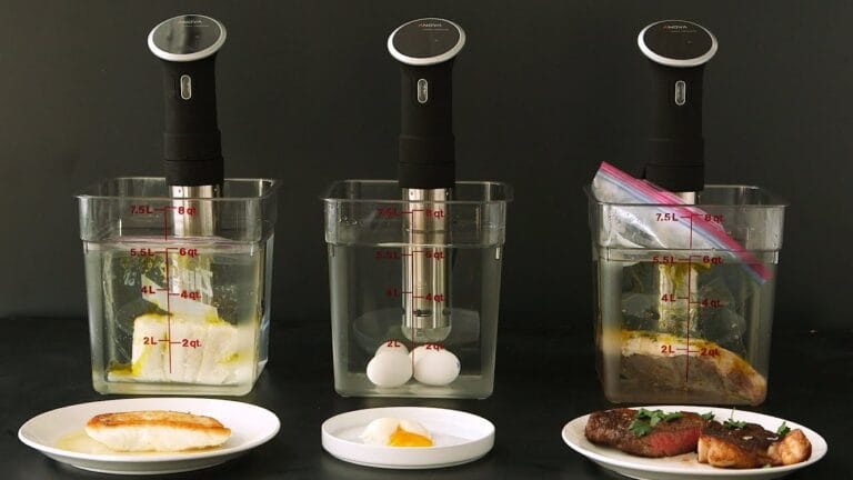 Sous Vide Unveiled: The Art and Science of Precision Cooking