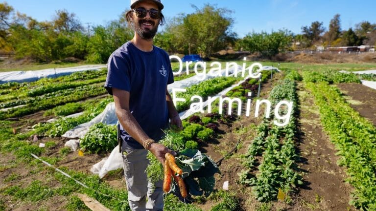 Beyond the Label: The Evolution of Organic Farming Practices