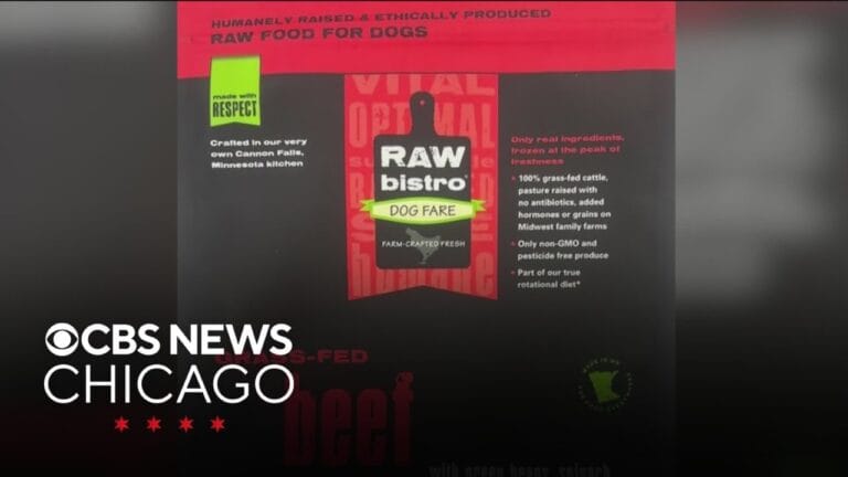 Raw Bistro Pet Fare Voluntarily Recalls Frozen Beef Entrée Because of Possible Salmonella Health Risk – 2025-10-10 18:41:00